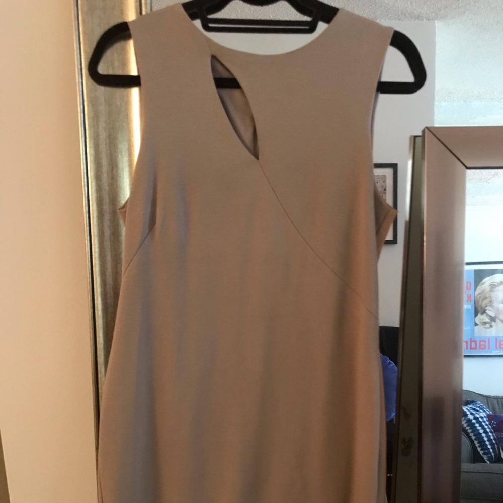 Drew taupe dress